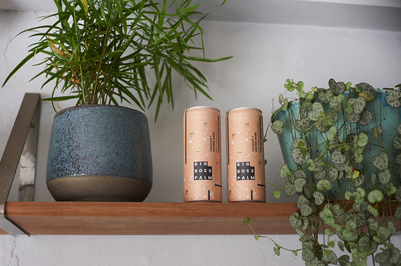 大老板棕櫚椰汁蘇打水品牌形象設計策劃和產品包裝設計