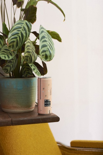 大老板棕櫚椰汁蘇打水品牌形象設計策劃和產品包裝設計