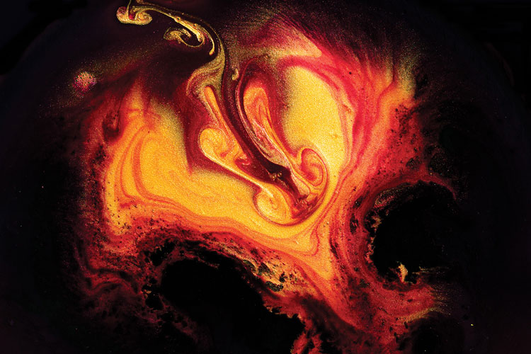 聯邦啤酒產品包裝設計，絢麗多彩